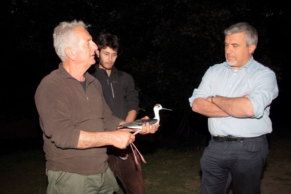 Falco pescatore & co.: Parco regionale MSRM